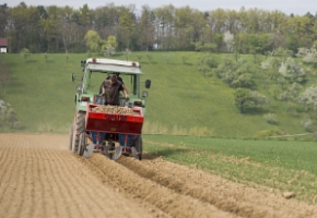 Traktor mit Rollstriegel