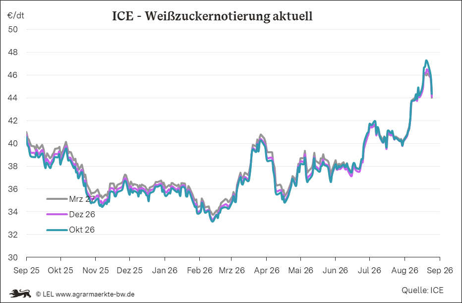 Bilder anzeigen