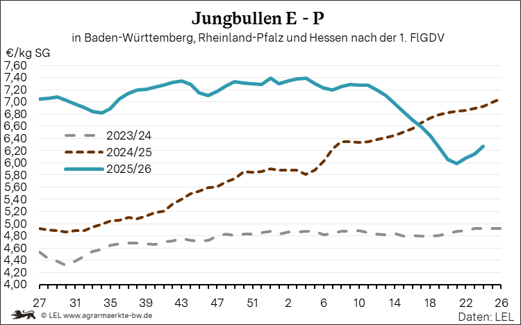 Bilder anzeigen