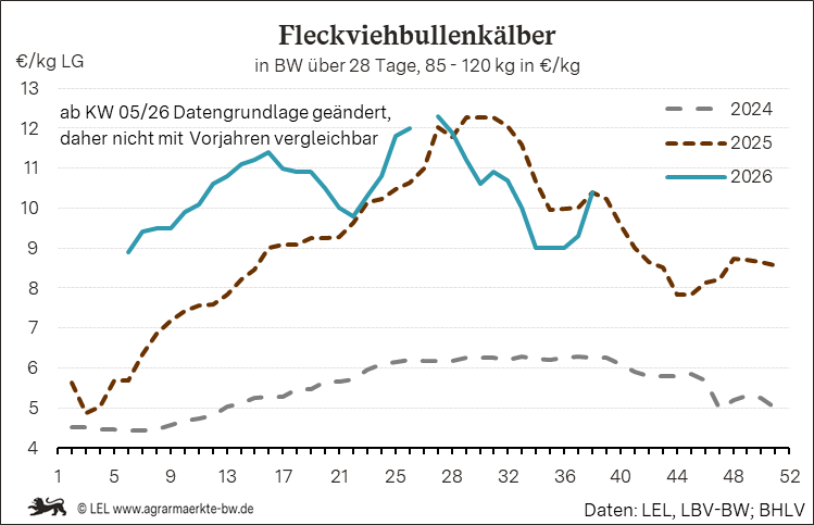 Bilder anzeigen