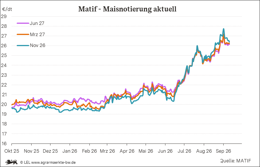 Bilder anzeigen
