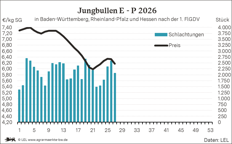 Bilder anzeigen