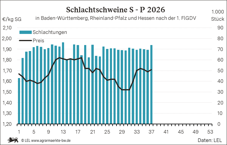 Bilder anzeigen
