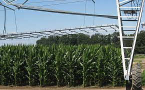 Gemeinschaftliche Bewässerungsinfrastruktur