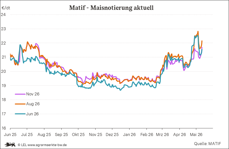 Bilder anzeigen