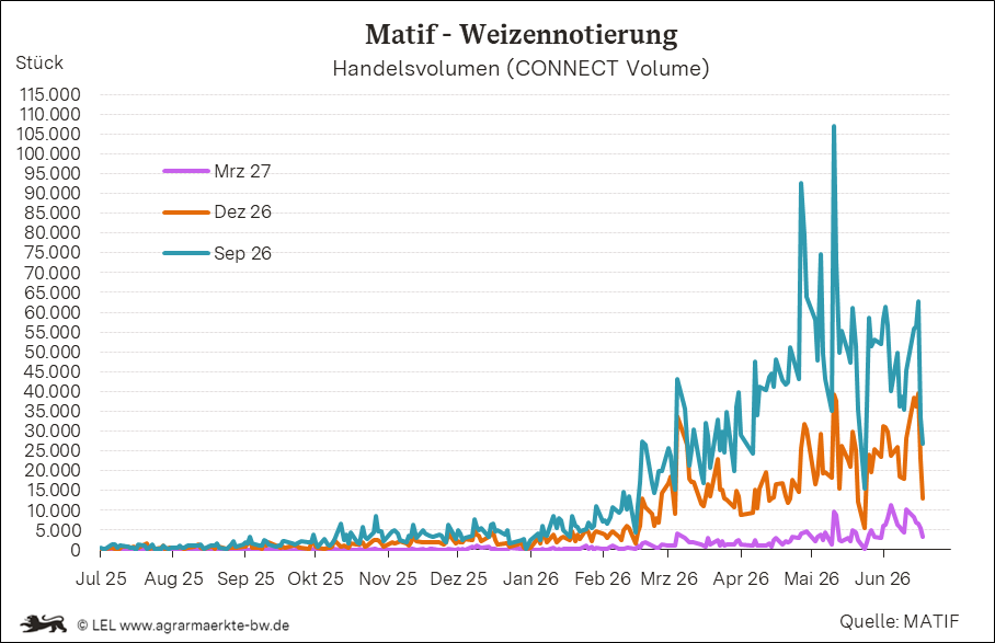 Bilder anzeigen