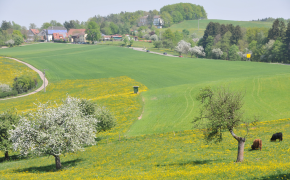 Energie, Natur und Umwelt - Landschaft