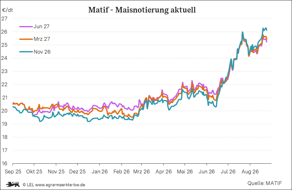 Bilder anzeigen