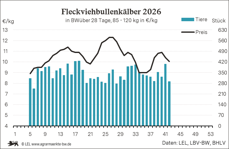 Bilder anzeigen