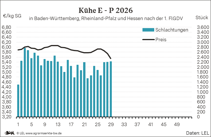 Bilder anzeigen