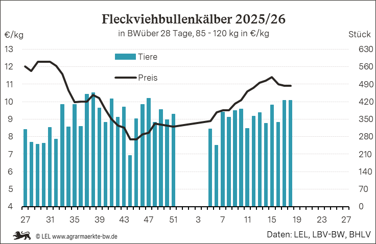 Bilder anzeigen