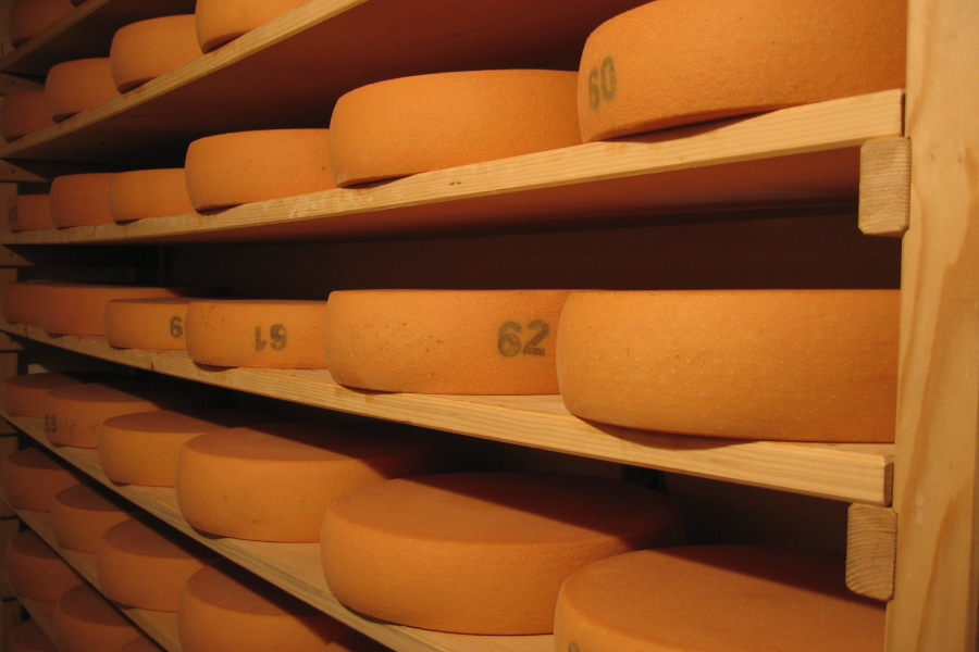 Käse im Regal