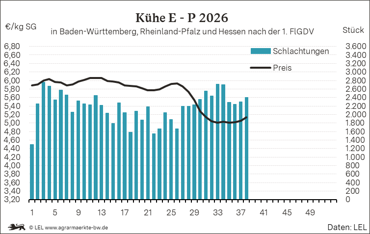 Bilder anzeigen