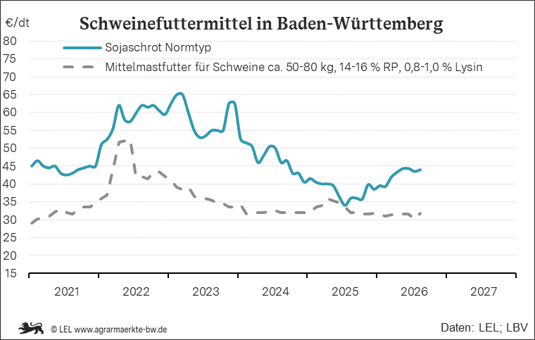 Bilder anzeigen