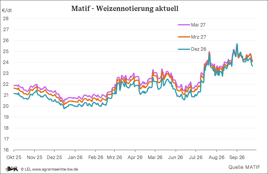Bilder anzeigen