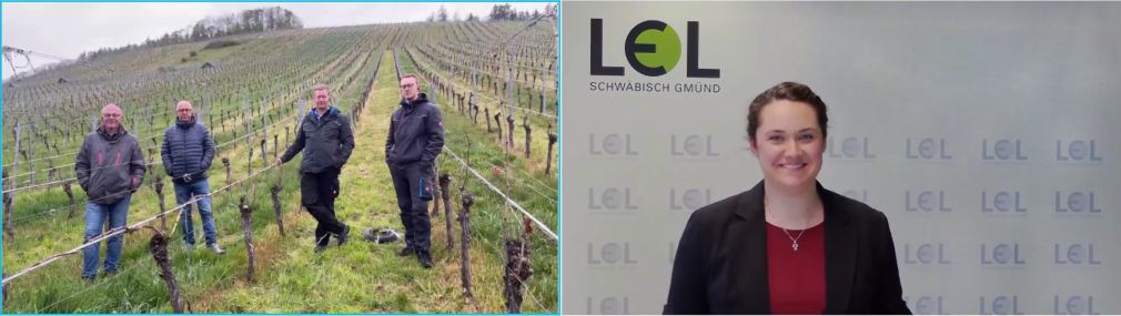 Austausch zwischen den Akteuren