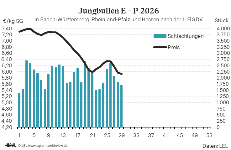 Bilder anzeigen
