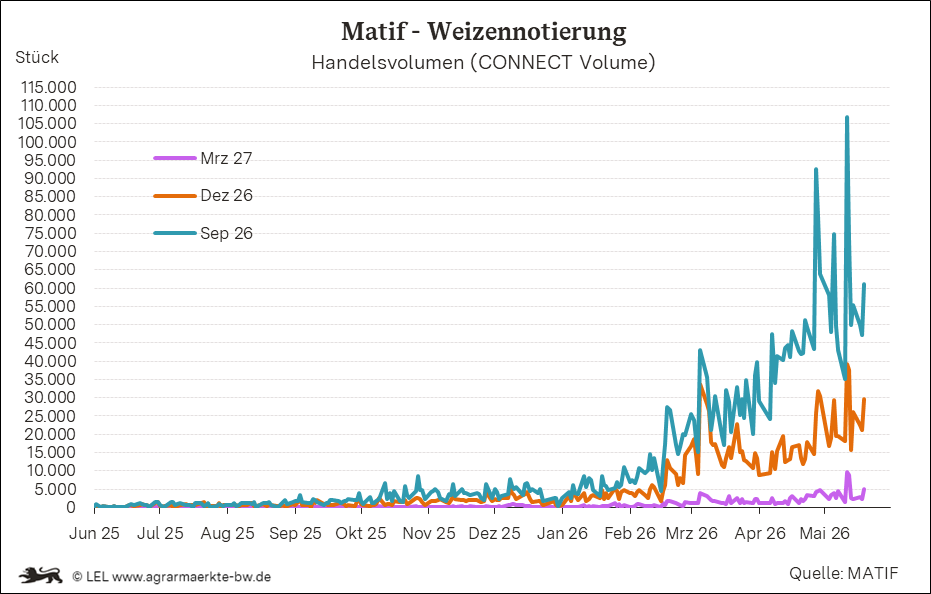 Bilder anzeigen