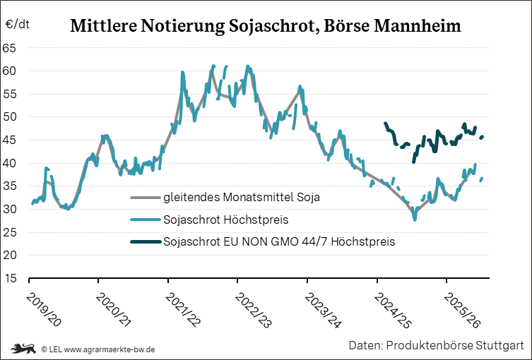 Bilder anzeigen