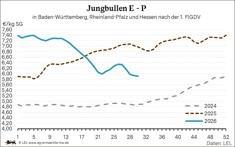 Bilder anzeigen