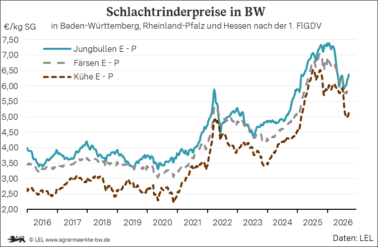 Bilder anzeigen
