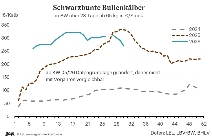 Bilder anzeigen