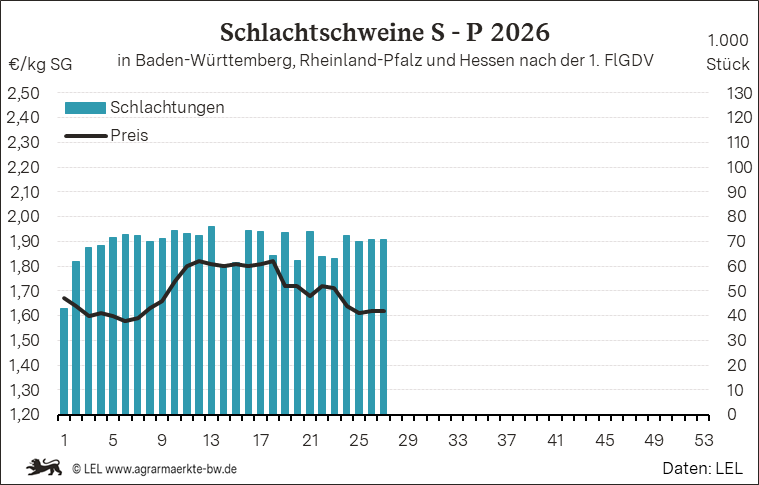 Bilder anzeigen