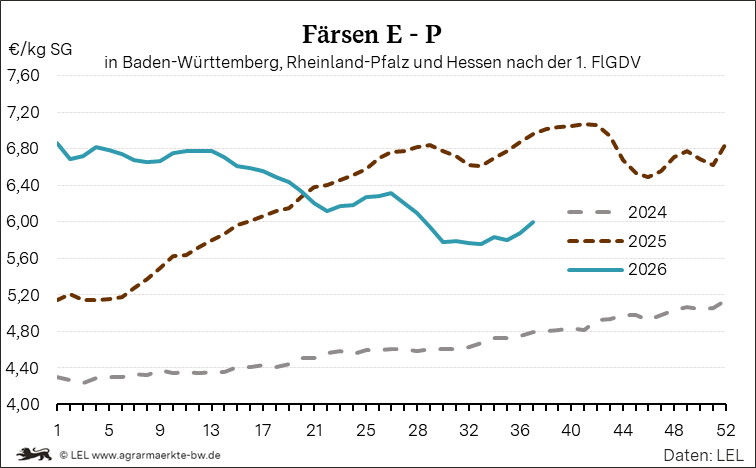 Bilder anzeigen