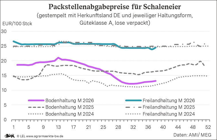 Bilder anzeigen
