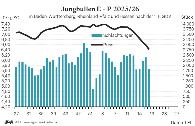 Bilder anzeigen