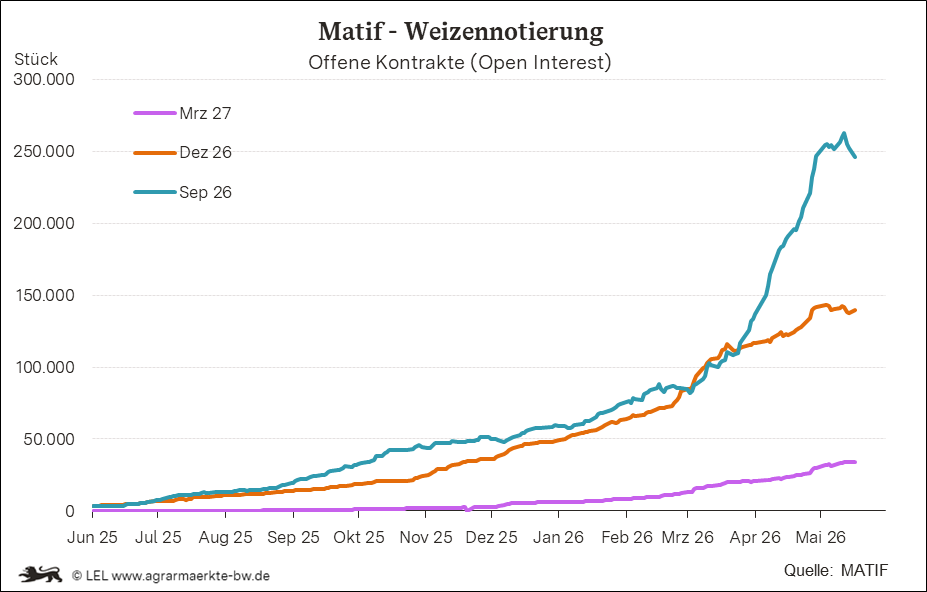 Bilder anzeigen