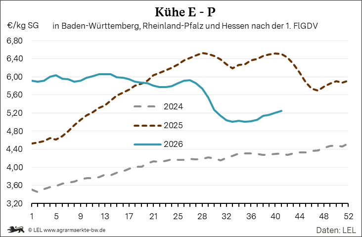 Bilder anzeigen