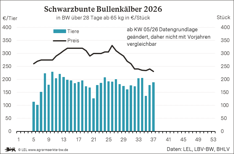 Bilder anzeigen