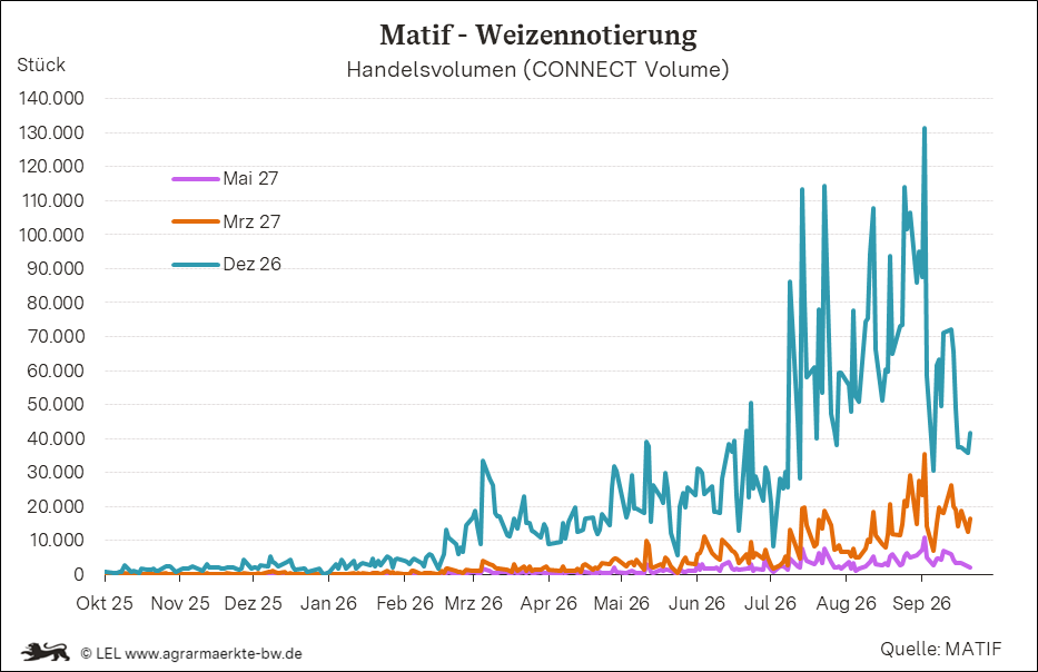 Bilder anzeigen