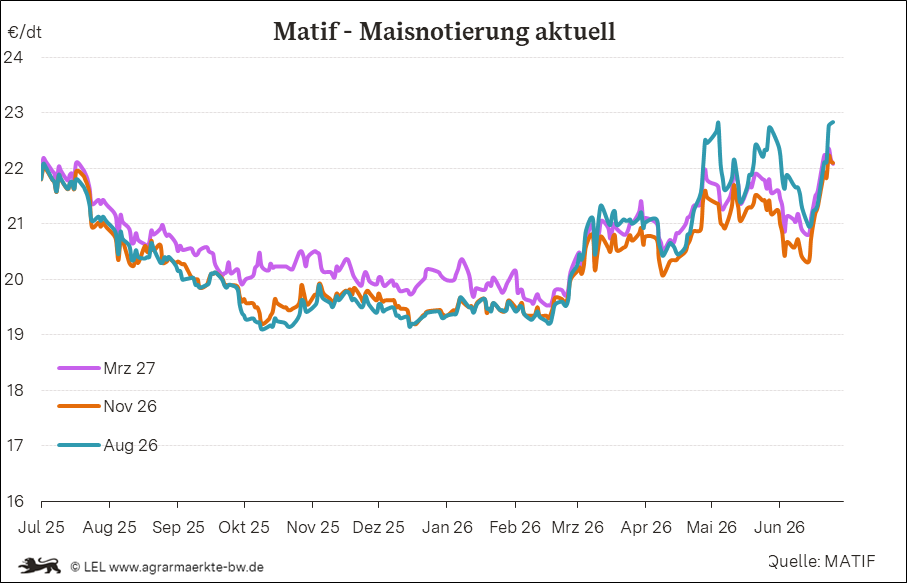 Bilder anzeigen