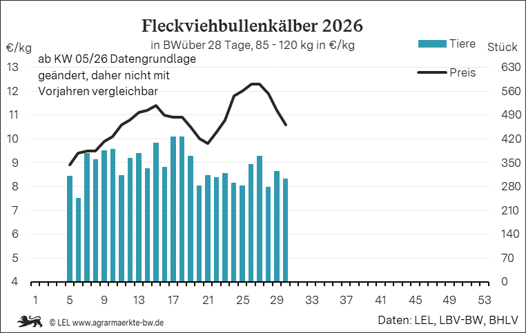 Bilder anzeigen