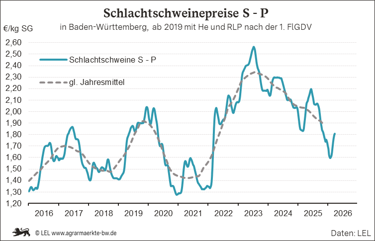 Bilder anzeigen