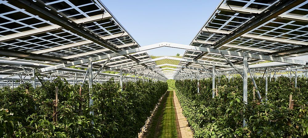 ISE-5390_2022_Agri-PV_Coverbild_1000_450.jpg