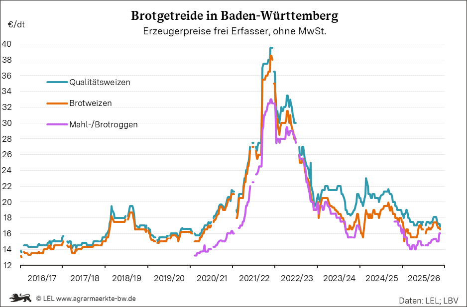 Bilder anzeigen