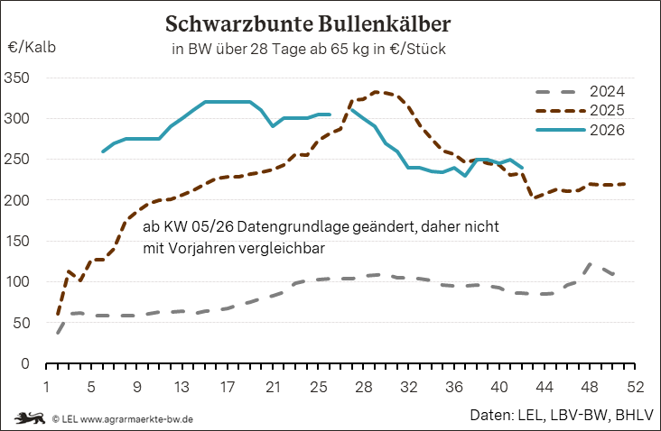 Bilder anzeigen