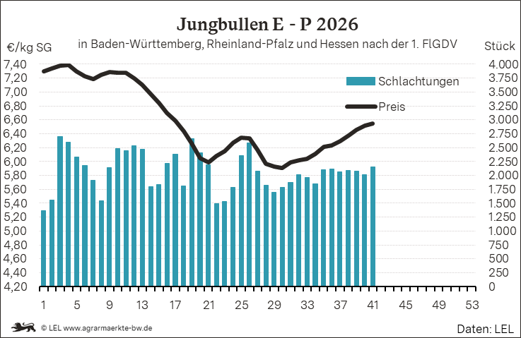 Bilder anzeigen