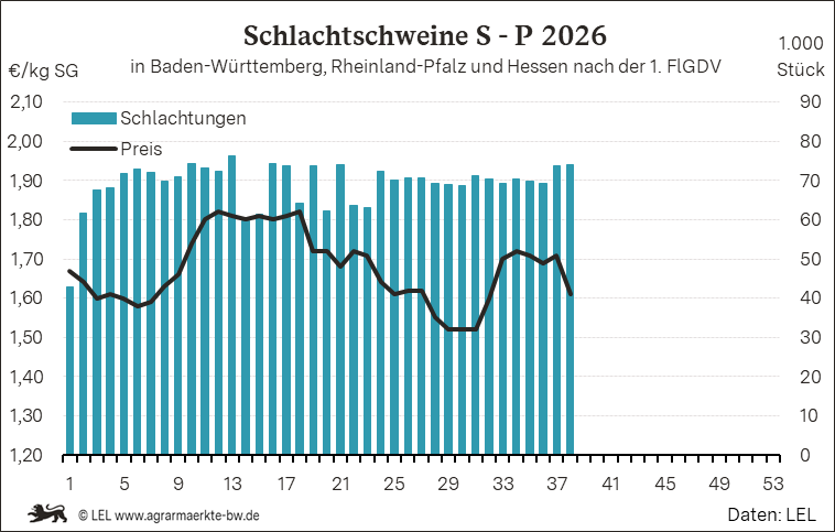 Bilder anzeigen