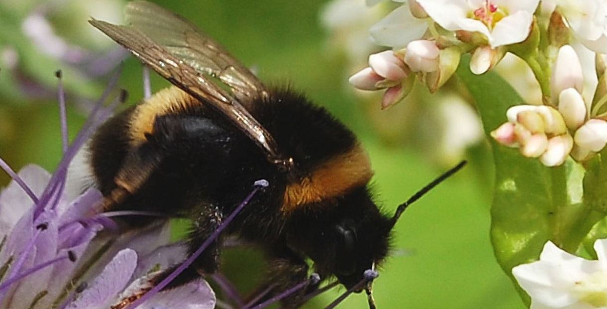 Titelbild_Landinfo_3_2022; Schwerpunktthema 