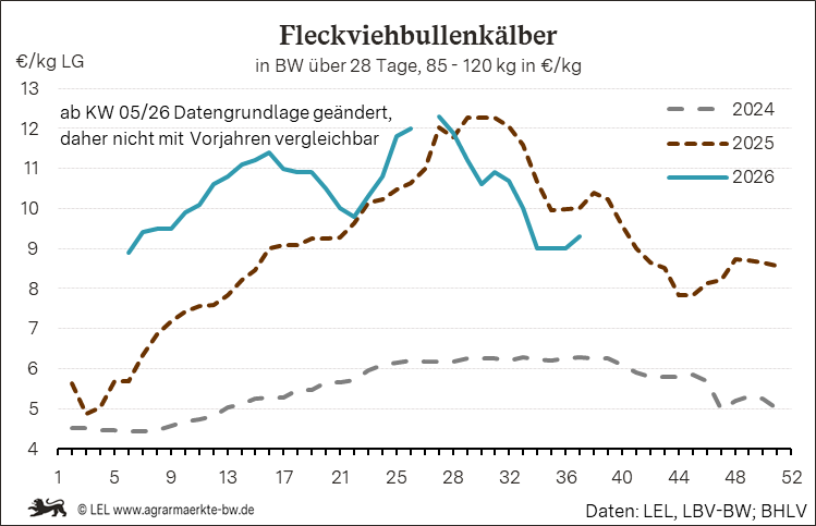 Bilder anzeigen