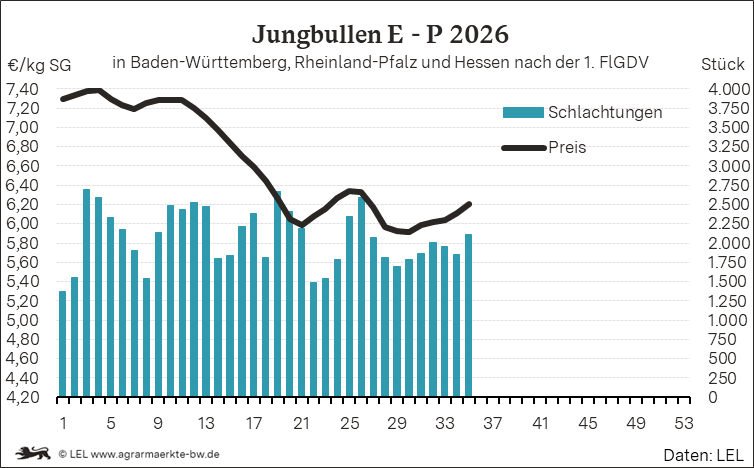 Bilder anzeigen