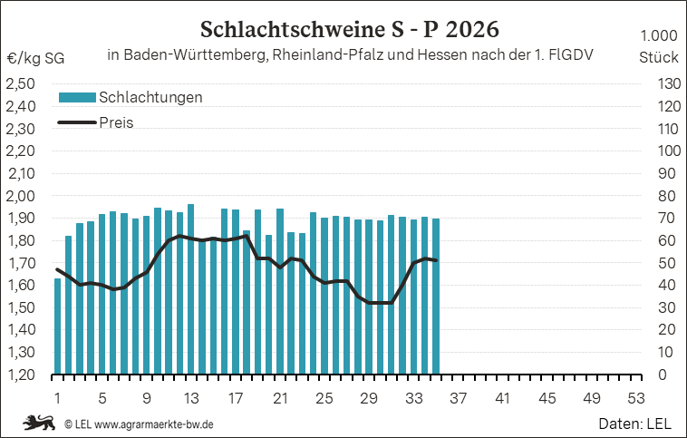 Bilder anzeigen