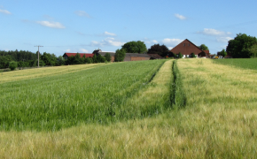 Ökologische Landwirtschaft - Betriebe