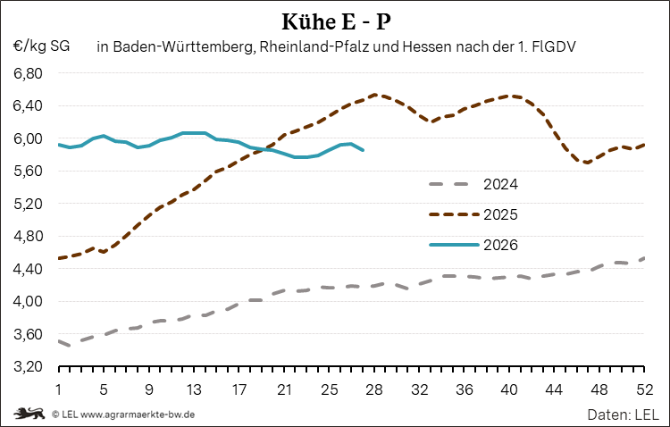 Bilder anzeigen