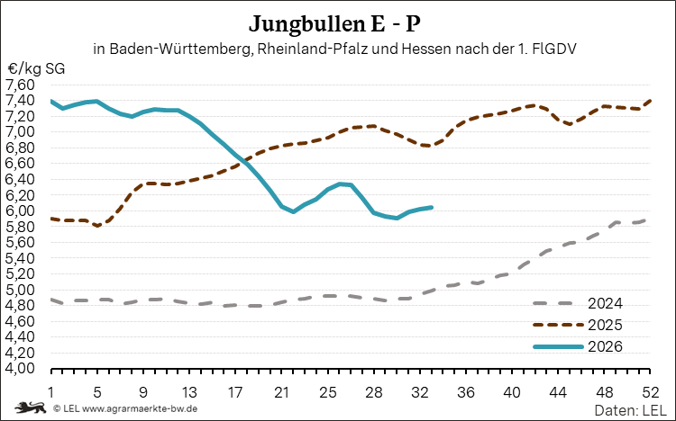 Bilder anzeigen