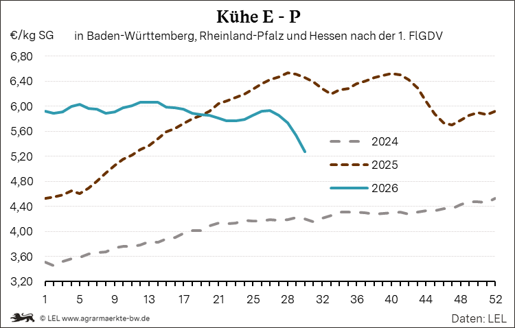 Bilder anzeigen